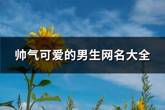 帥氣可愛的男生網名大全(共267個)