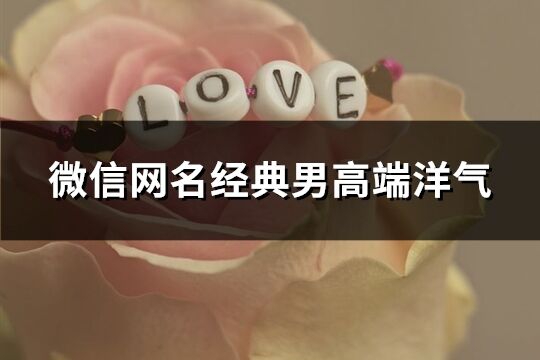 微信網(wǎng)名經(jīng)典男高端洋氣(338個)