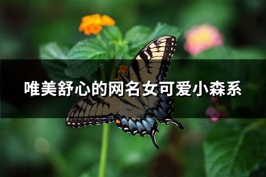 唯美舒心的網名女可愛小森系(優選84個)