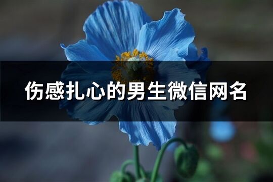 傷感扎心的男生微信網(wǎng)名(共342個)