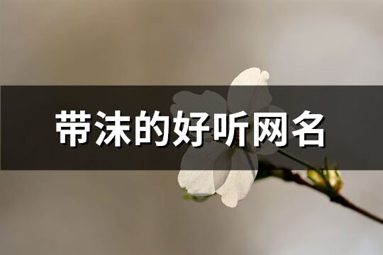 帶沫的好聽網名(精選65個)