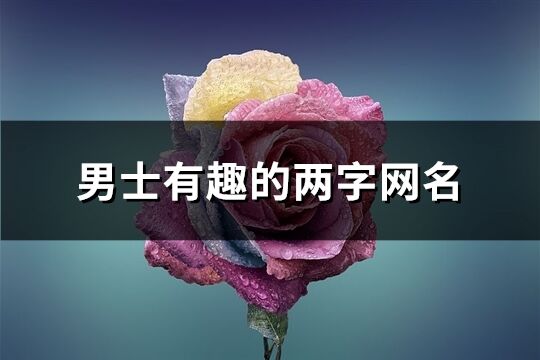 男士有趣的兩字網名(精選2223個)