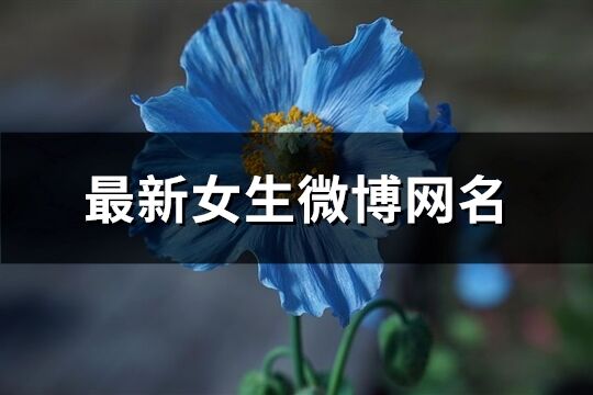 最新女生微博網名(精選560個)