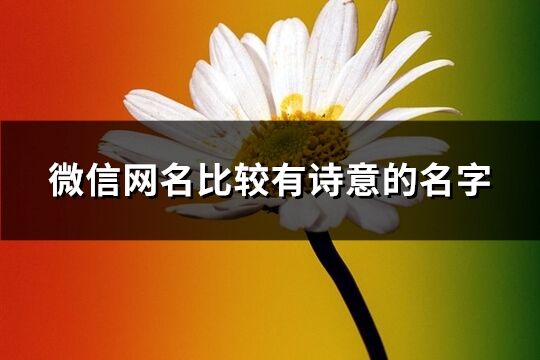 微信網(wǎng)名比較有詩意的名字(391個)
