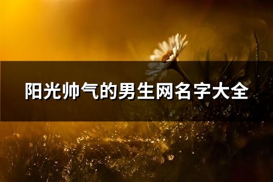 陽光帥氣的男生網名字大全(共981個)