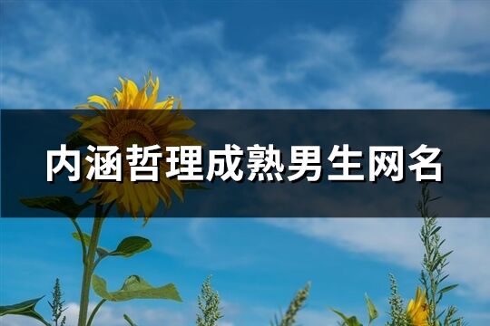 內涵哲理成熟男生網名(優選207個)