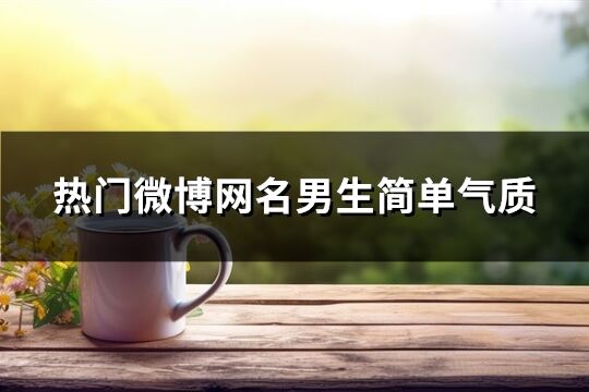 熱門微博網名男生簡單氣質(優選147個)