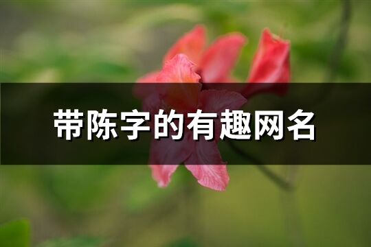 帶陳字的有趣網名(優選131個)