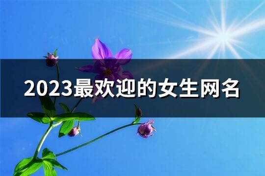 2023最歡迎的女生網(wǎng)名(優(yōu)選1420個)