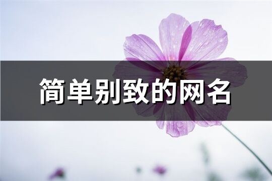 簡單別致的網名(精選93個)