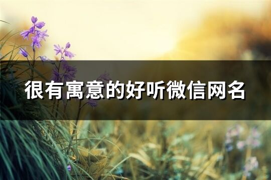 很有寓意的好聽微信網名(共502個)