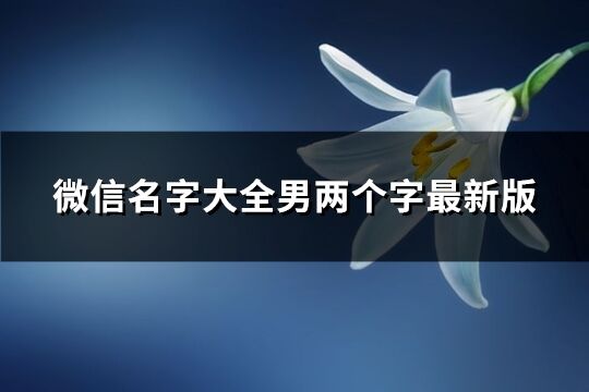 微信名字大全男兩個字最新版(精選1732個)
