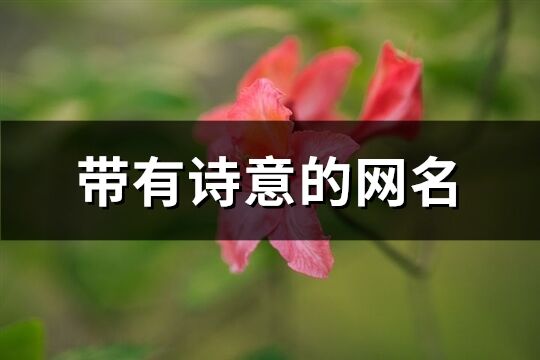 帶有詩意的網名(329個)