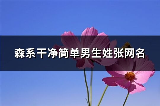 森系干凈簡(jiǎn)單男生姓張網(wǎng)名(精選104個(gè))