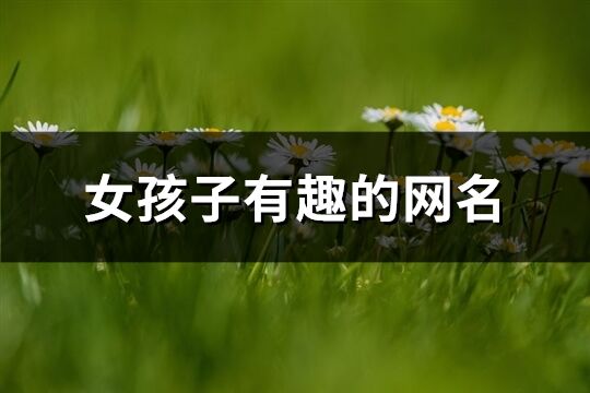 女孩子有趣的網名(精選494個)