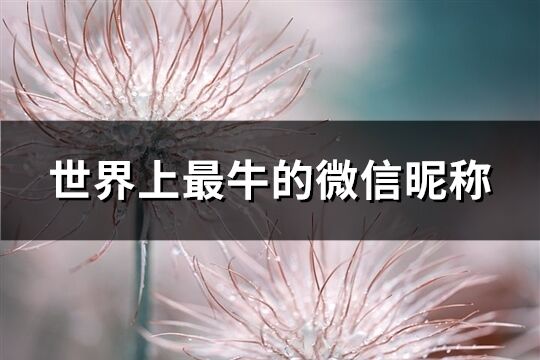世界上最牛的微信昵稱(優(yōu)選235個)