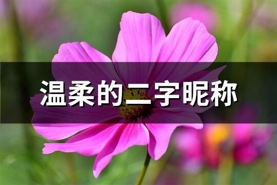 溫柔的二字昵稱(1209個)
