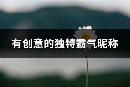 有創意的獨特霸氣昵稱(優選236個)
