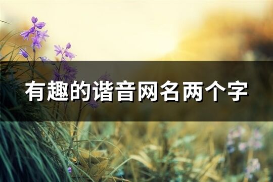 有趣的諧音網名兩個字(優選173個)