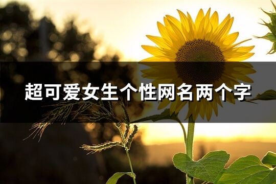 超可愛女生個性網(wǎng)名兩個字(513個)