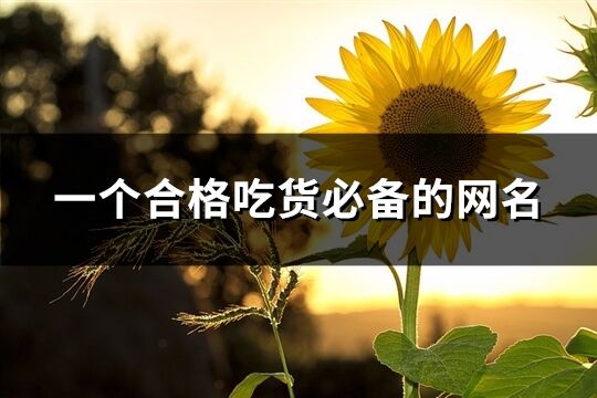 一個合格吃貨必備的網名(共83個)