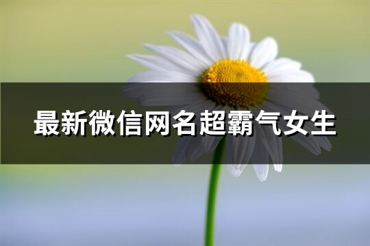 最新微信網名超霸氣女生(精選1203個)
