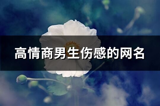 高情商男生傷感的網(wǎng)名(共577個(gè))