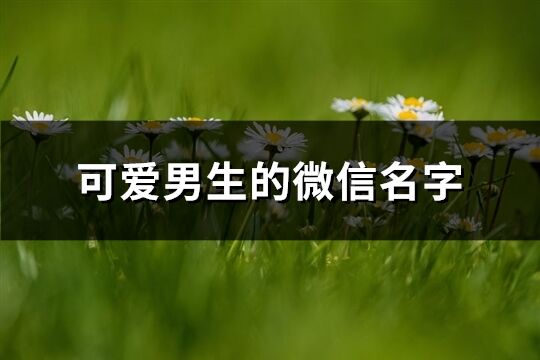 可愛男生的微信名字(優選366個)