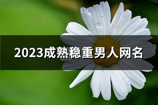 2023成熟穩重男人網名(共708個)