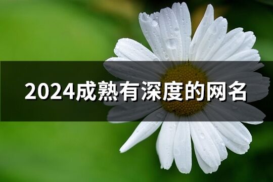2024成熟有深度的網名(344個)