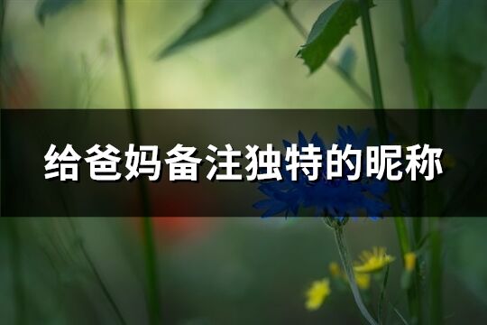 給爸媽備注獨特的昵稱(共60個)