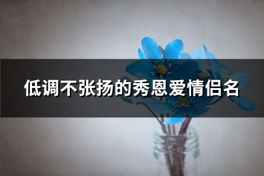 低調(diào)不張揚(yáng)的秀恩愛(ài)情侶名(優(yōu)選288個(gè))
