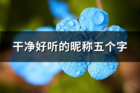 干凈好聽的昵稱五個字(精選795個)