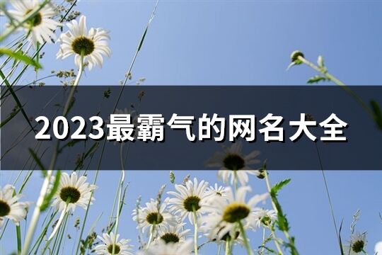 2023最霸氣的網名大全(優選1454個)