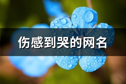 傷感到哭的網(wǎng)名(優(yōu)選705個(gè))