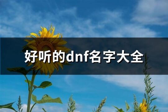 好聽的dnf名字大全(共805個(gè))