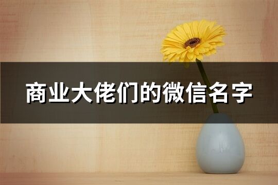 商業大佬們的微信名字(509個)