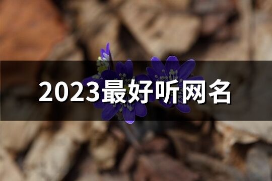 2023最好聽網名(共1173個)
