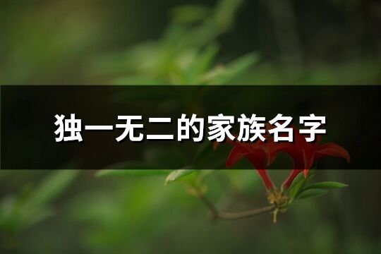 獨一無二的家族名字(優選495個)