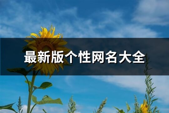 最新版個性網名大全(共436個)
