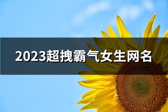 2023超拽霸氣女生網名(精選615個)