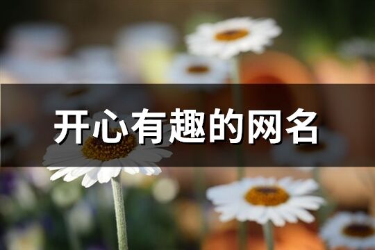 開心有趣的網(wǎng)名(共376個)