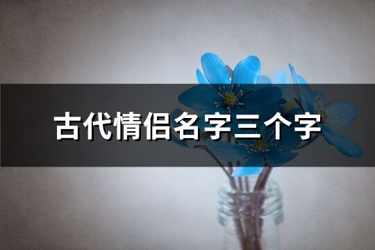 古代情侶名字三個字(優選355個)