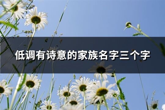 低調(diào)有詩意的家族名字三個(gè)字(共251個(gè))