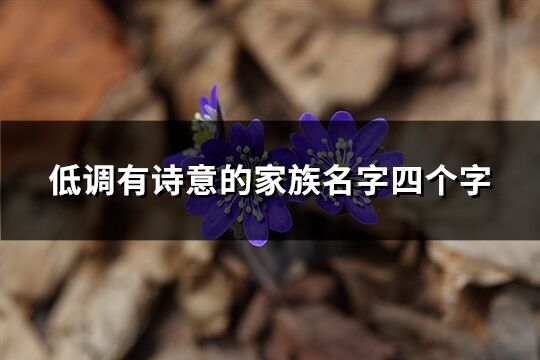 低調有詩意的家族名字四個字(優選343個)