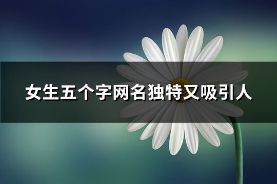 女生五個(gè)字網(wǎng)名獨(dú)特又吸引人(共239個(gè))