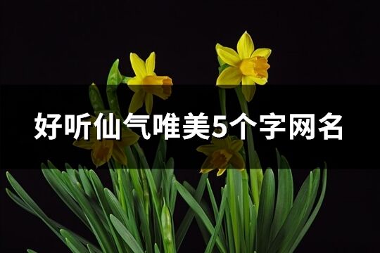 好聽仙氣唯美5個字網名(416個)