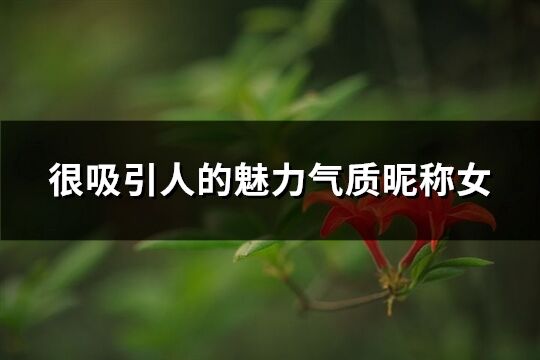 很吸引人的魅力氣質昵稱女(945個)