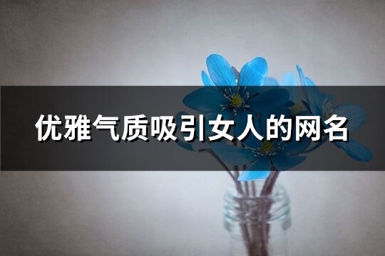 優雅氣質吸引女人的網名(共296個)