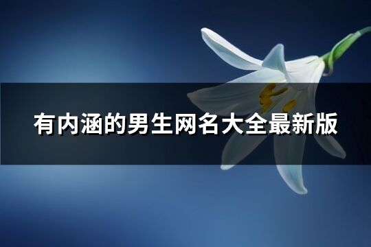 有內(nèi)涵的男生網(wǎng)名大全最新版(精選1464個)
